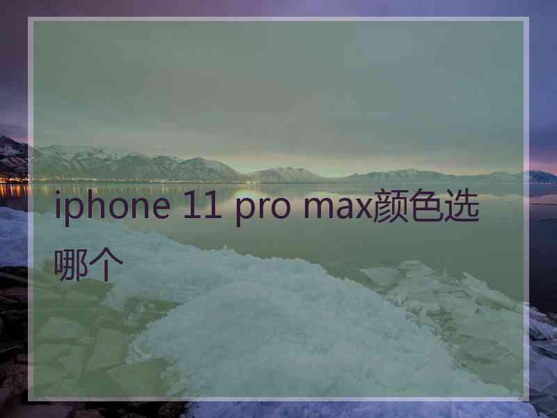 iphone 11 pro max颜色选哪个