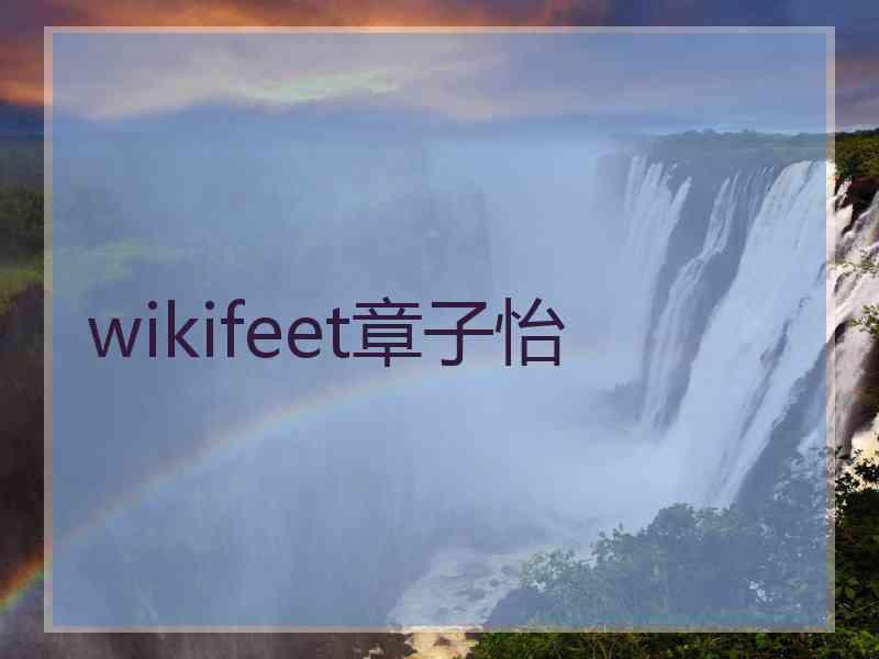 wikifeet章子怡