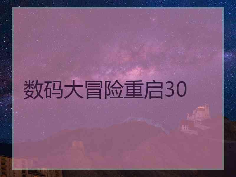 数码大冒险重启30