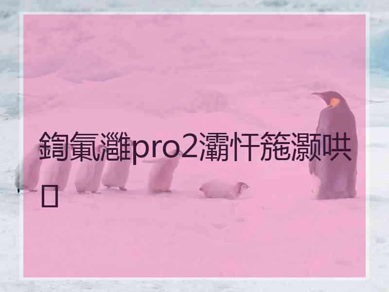 鍧氭灉pro2灞忓箷灏哄