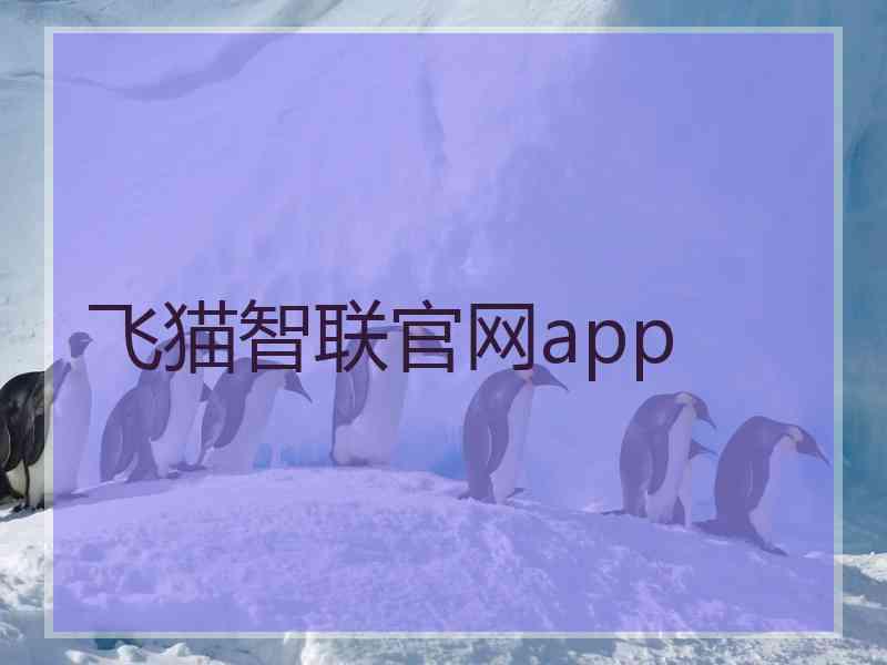 飞猫智联官网app