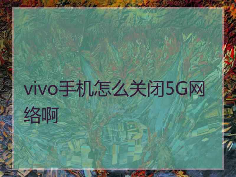 vivo手机怎么关闭5G网络啊