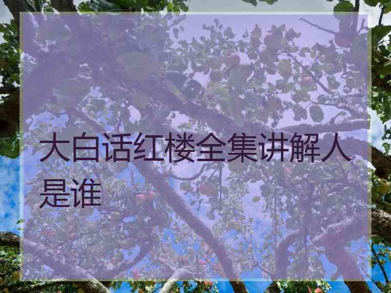 大白话红楼全集讲解人是谁