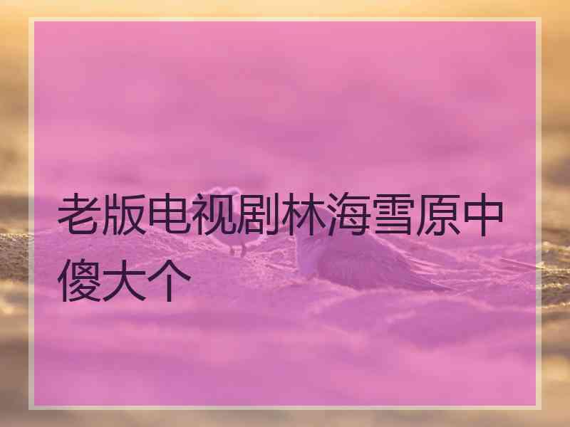 老版电视剧林海雪原中傻大个