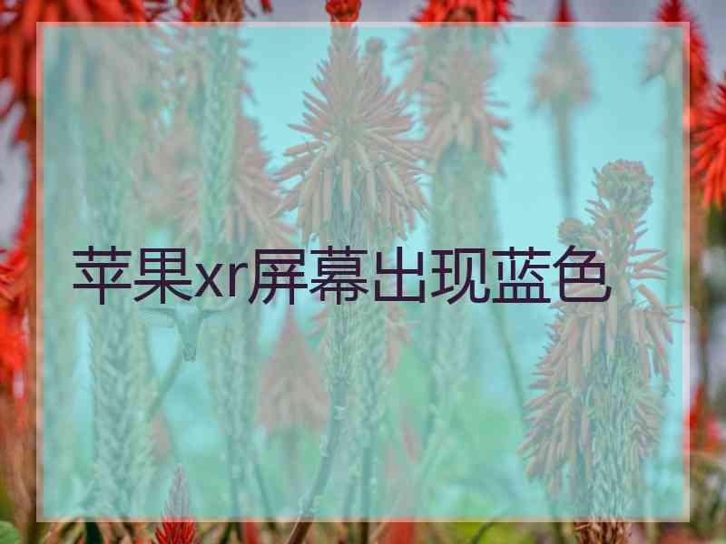 苹果xr屏幕出现蓝色