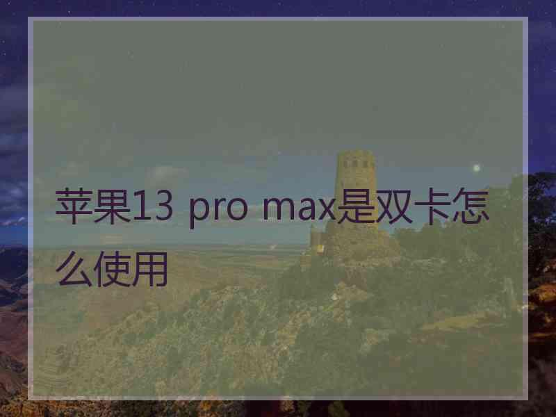 苹果13 pro max是双卡怎么使用