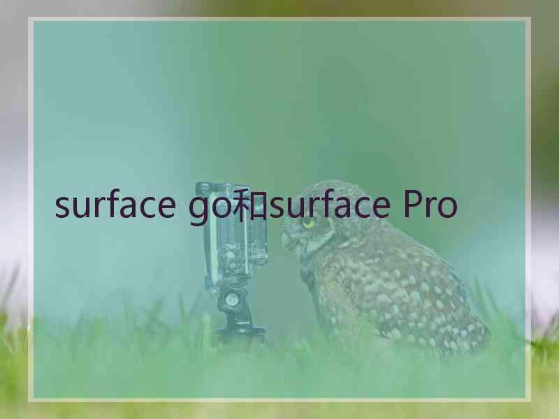 surface go和surface Pro