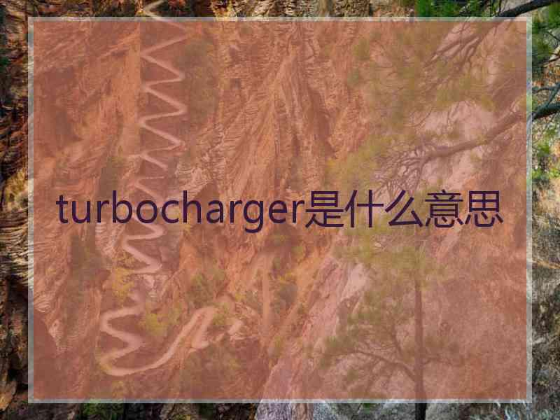 turbocharger是什么意思