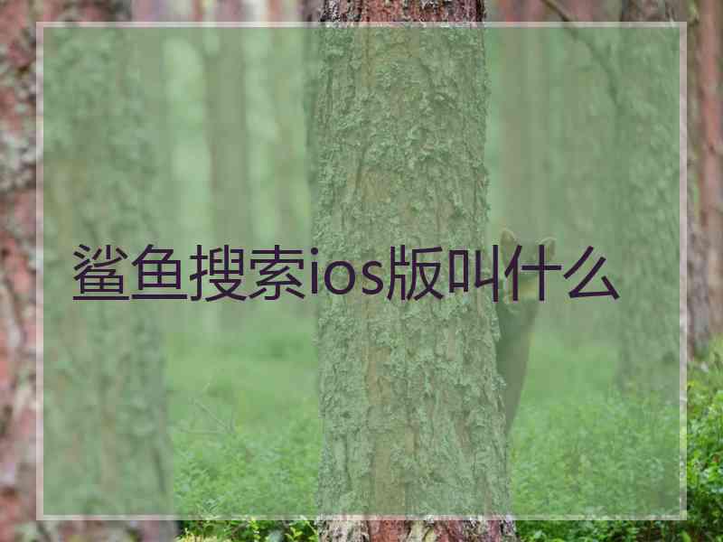 鲨鱼搜索ios版叫什么