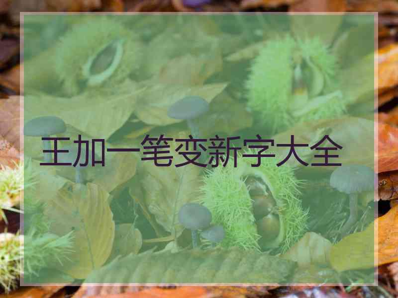 王加一笔变新字大全