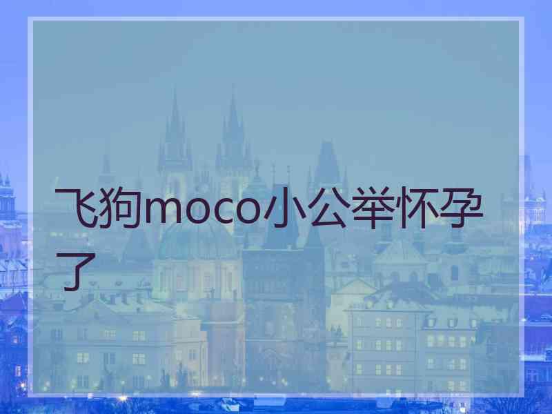 飞狗moco小公举怀孕了