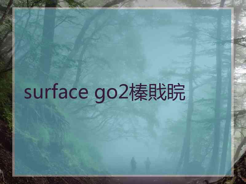 surface go2榛戝睆