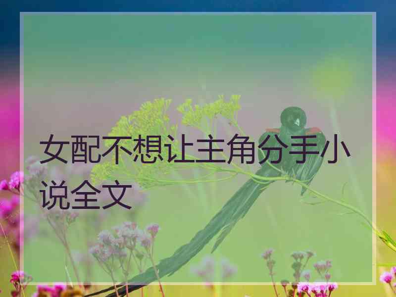 女配不想让主角分手小说全文