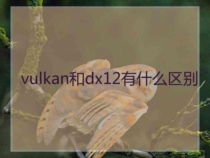 vulkan和dx12有什么区别