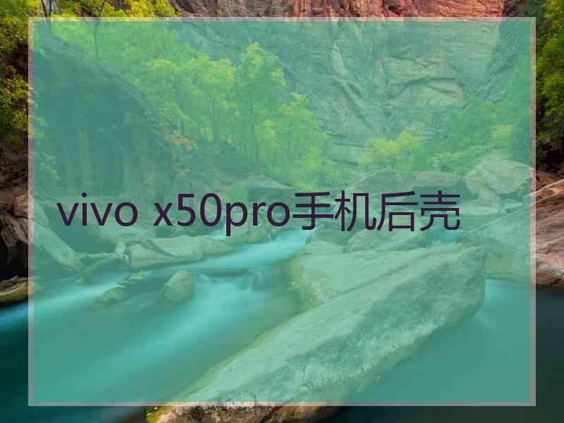 vivo x50pro手机后壳