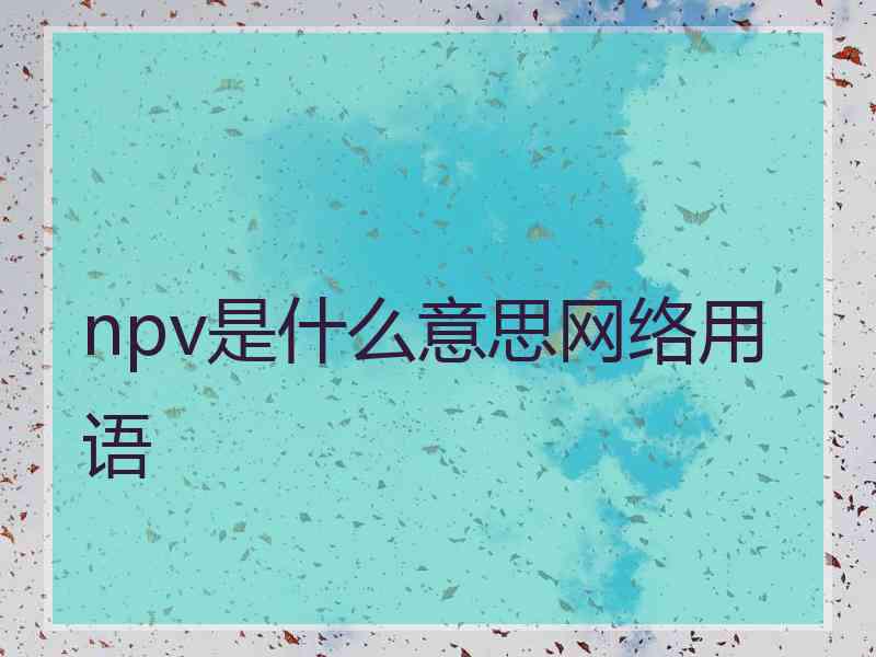 npv是什么意思网络用语