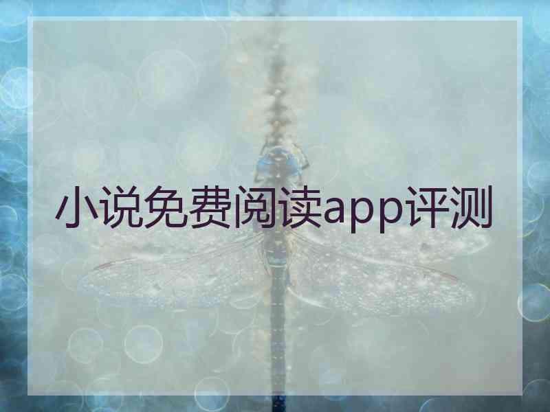 小说免费阅读app评测