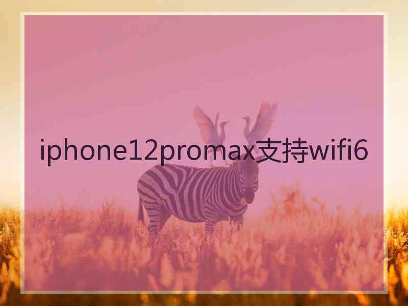 iphone12promax支持wifi6