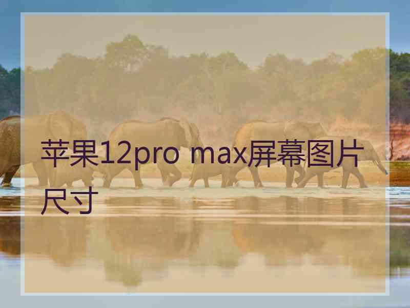 苹果12pro max屏幕图片尺寸