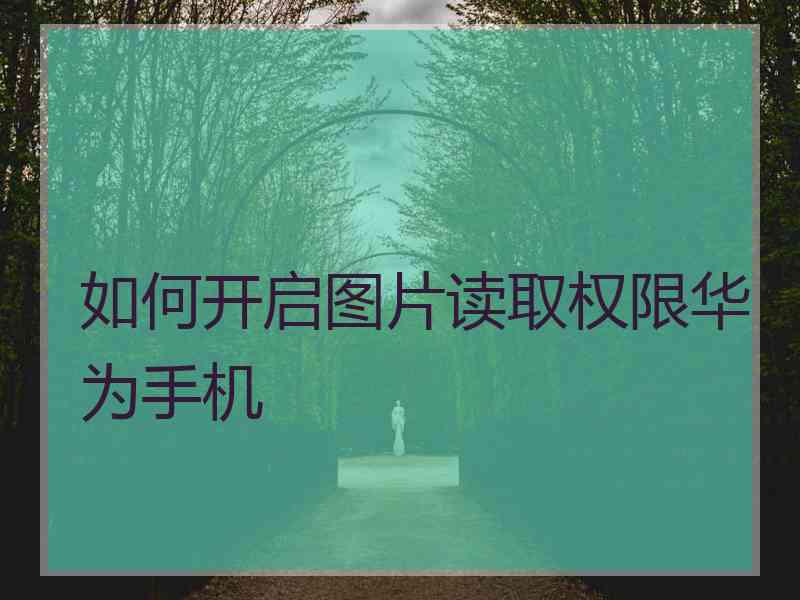 如何开启图片读取权限华为手机