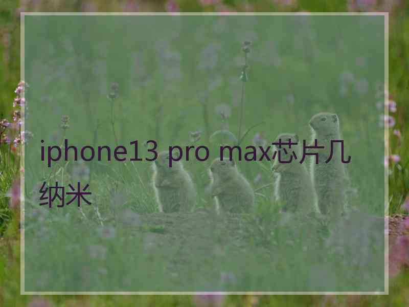 iphone13 pro max芯片几纳米