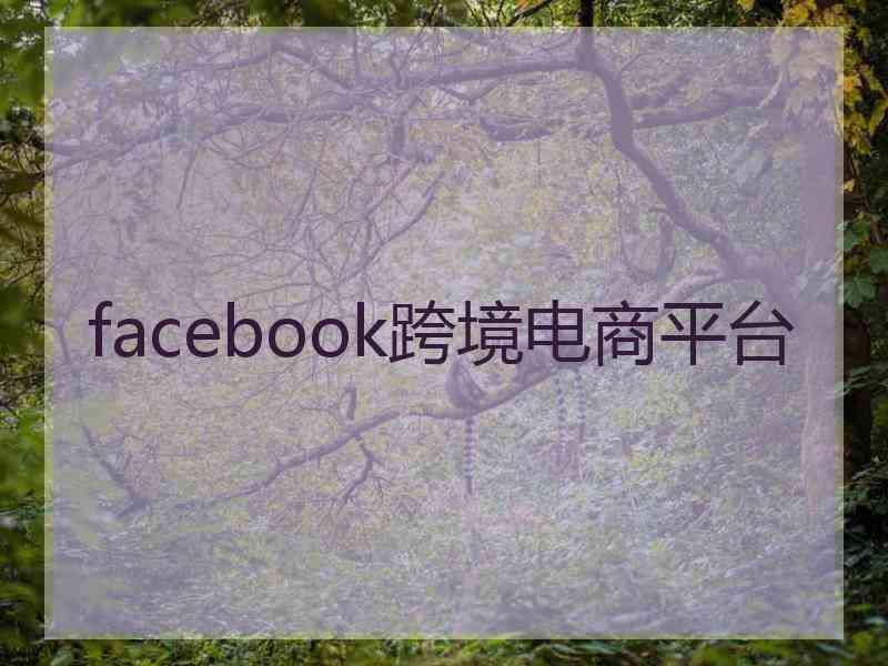 facebook跨境电商平台