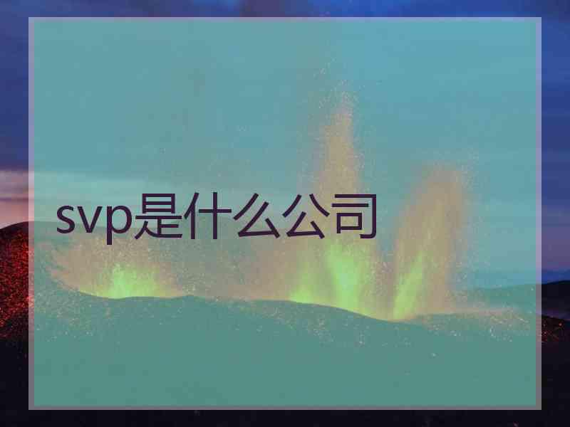 svp是什么公司