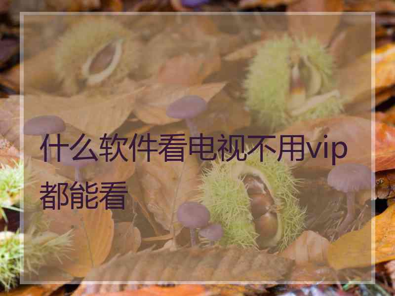 什么软件看电视不用vip都能看