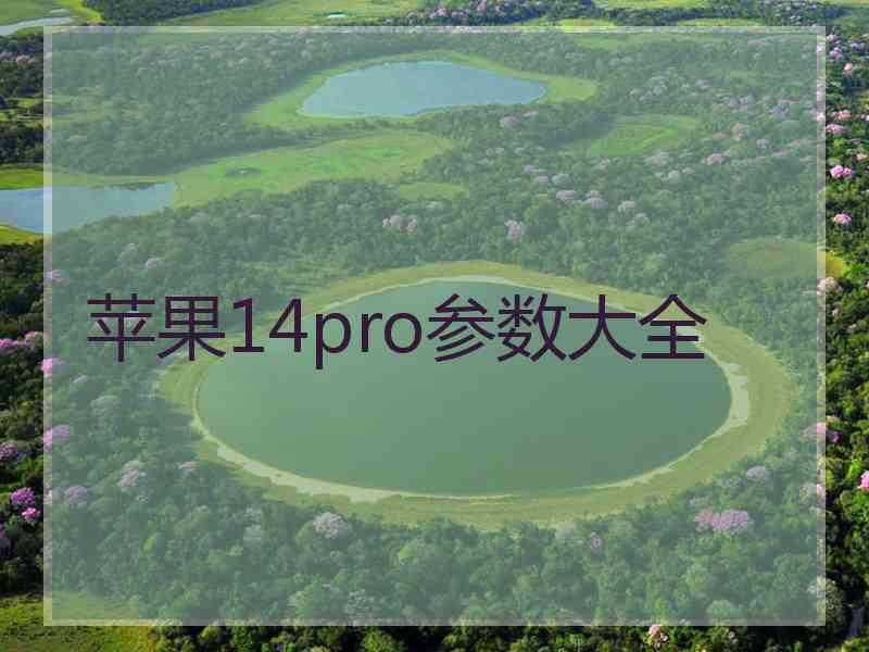 苹果14pro参数大全