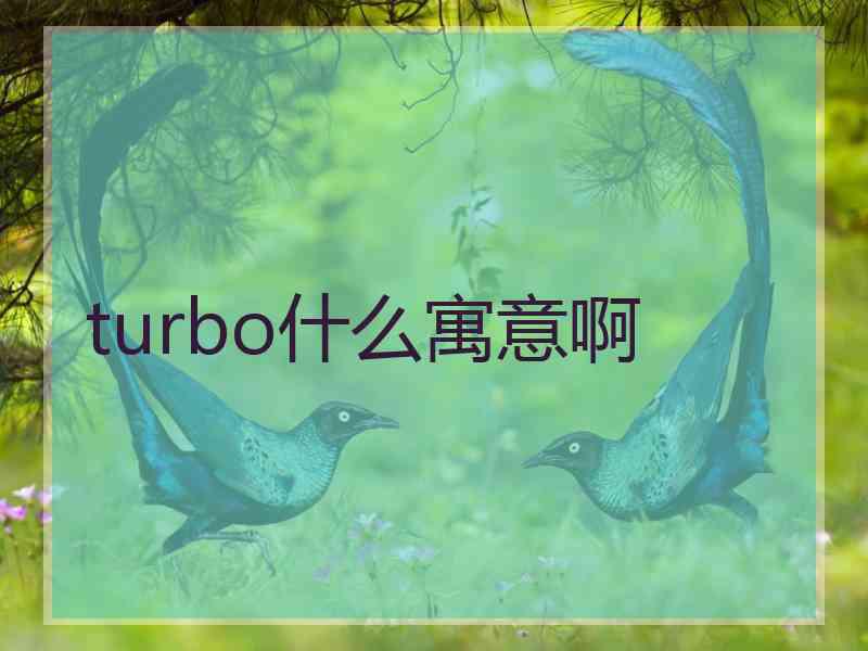 turbo什么寓意啊