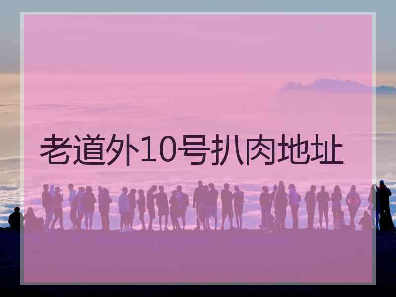 老道外10号扒肉地址