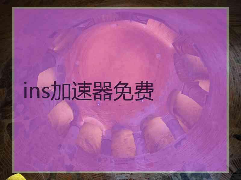 ins加速器免费