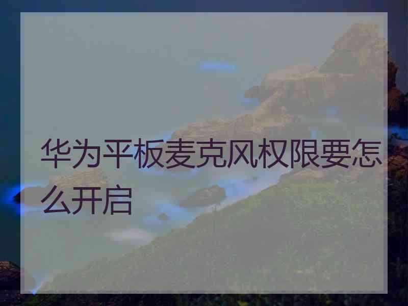 华为平板麦克风权限要怎么开启