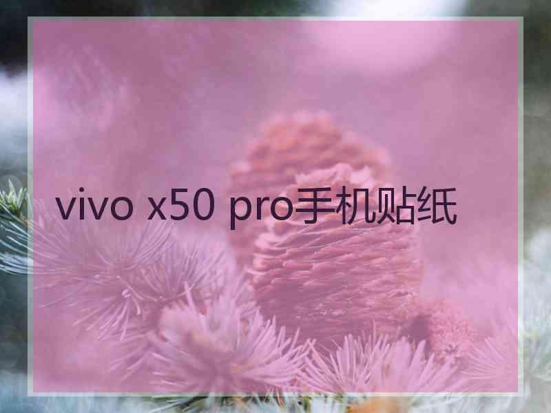 vivo x50 pro手机贴纸