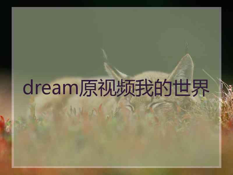 dream原视频我的世界