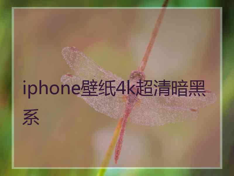 iphone壁纸4k超清暗黑系