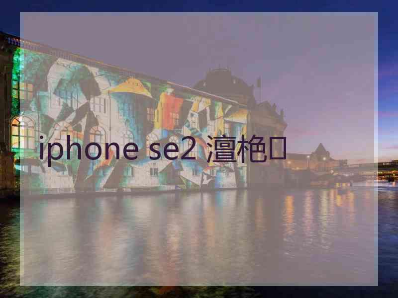 iphone se2 澶栬