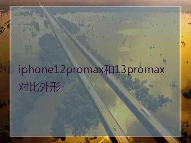 iphone12promax和13promax对比外形