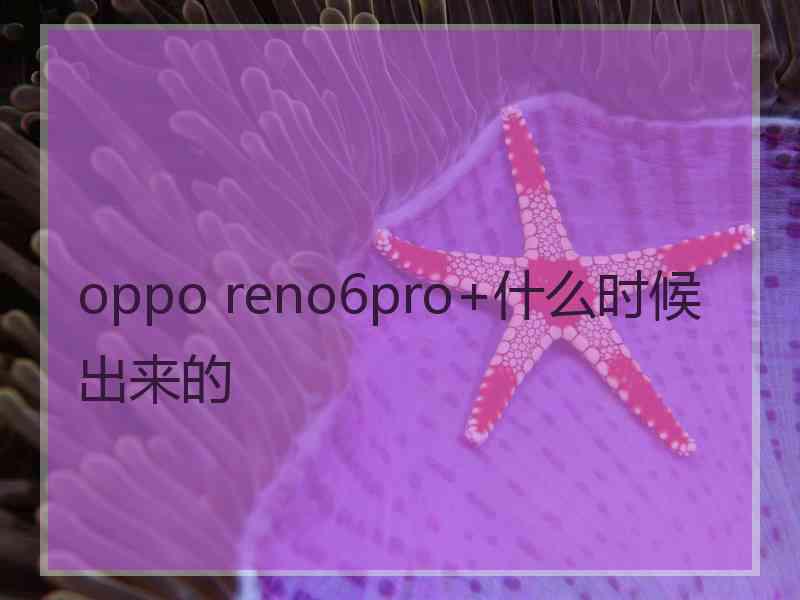 oppo reno6pro+什么时候出来的