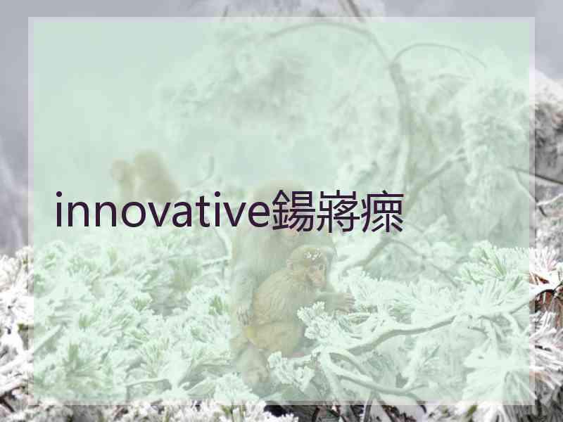 innovative鍚嶈瘝