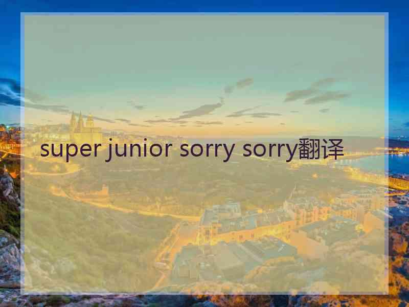 super junior sorry sorry翻译