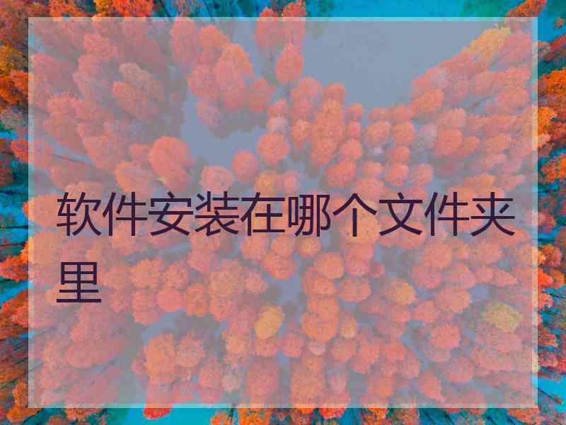 软件安装在哪个文件夹里