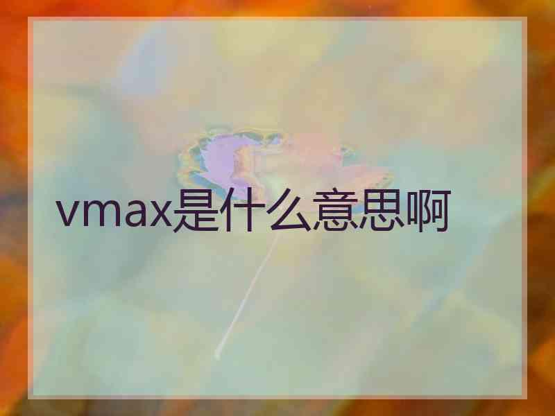 vmax是什么意思啊