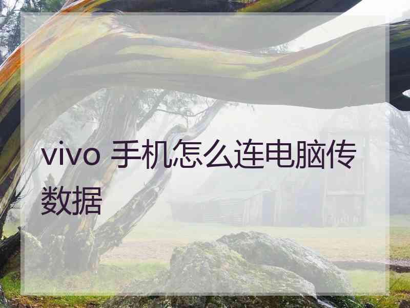 vivo 手机怎么连电脑传数据