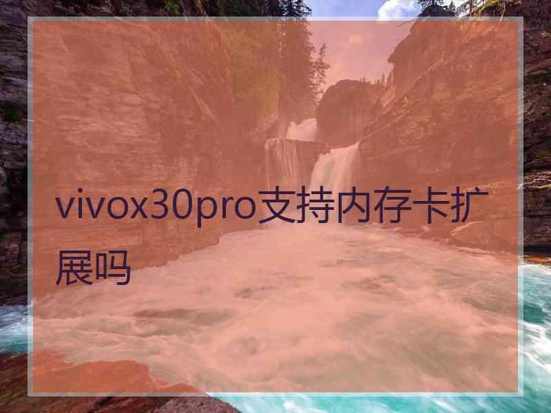 vivox30pro支持内存卡扩展吗