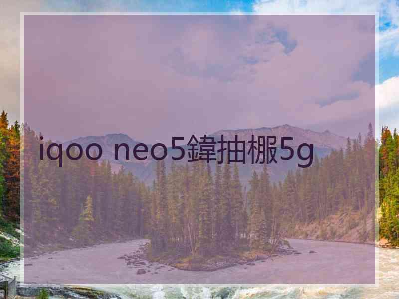 iqoo neo5鍏抽棴5g