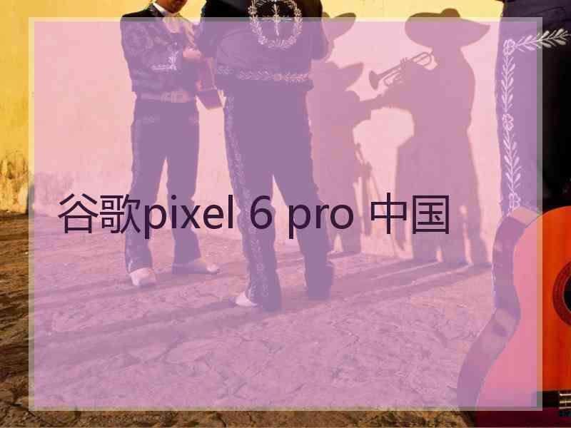 谷歌pixel 6 pro 中国