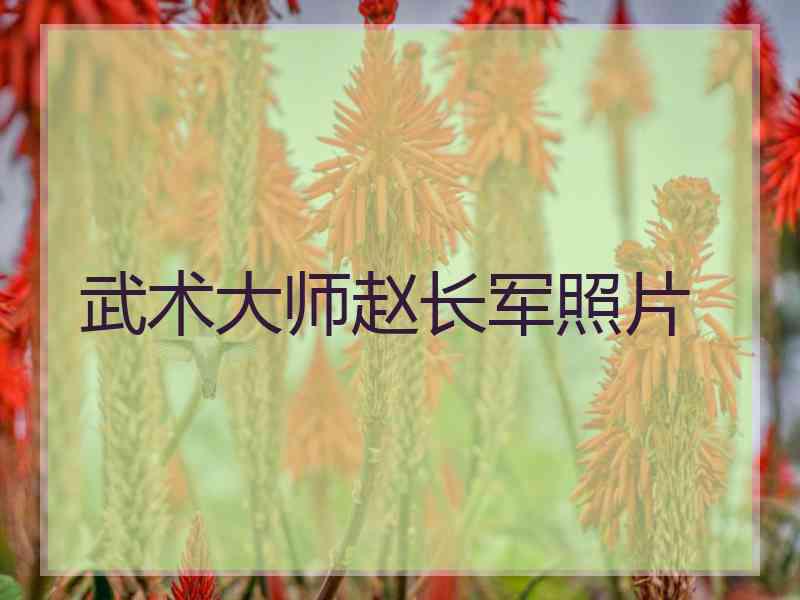 武术大师赵长军照片