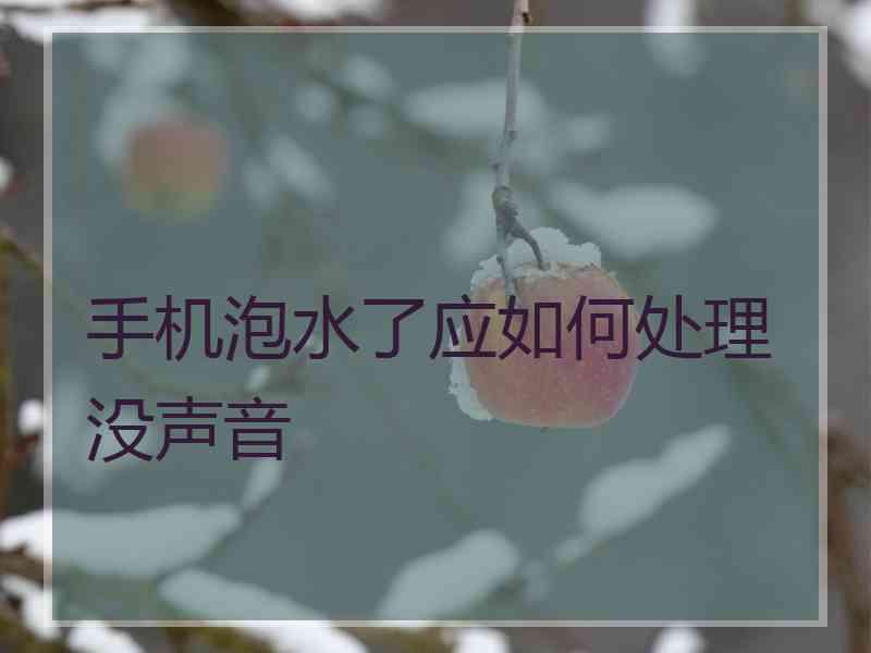 手机泡水了应如何处理没声音