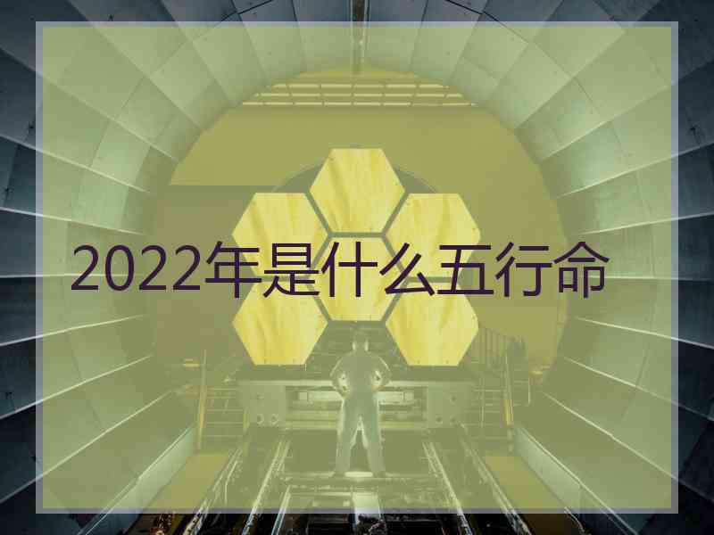 2022年是什么五行命